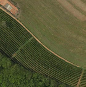 agricultura florestal com drones Mapeamento Aéreo com Drone