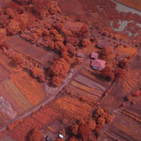 agricultura florestal com drone Mapeamento Aéreo com Drone infravermelho