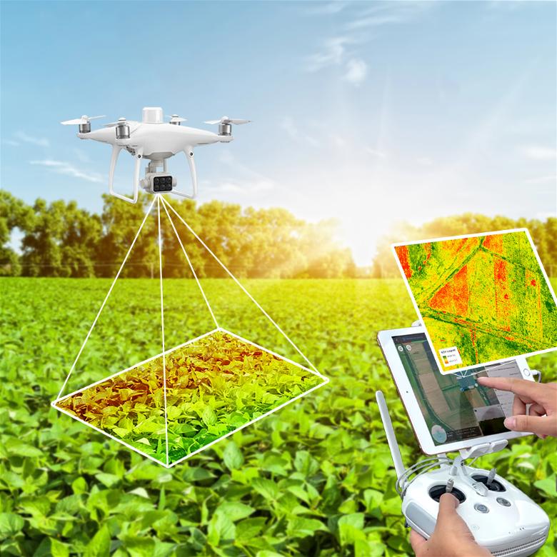 Imagem exemplo de um drone executando Mapeamento agrícola